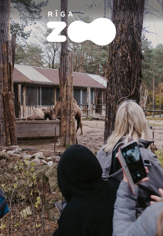 Ekskursija Rīga ZOO slavenībām pa pēdām